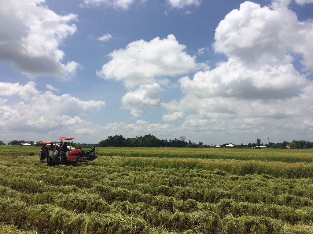 Harvest
